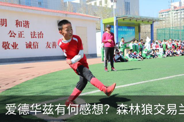 爱德华兹有何感想？森林狼交易兰德尔断臂求生 只为续约道苏姆？